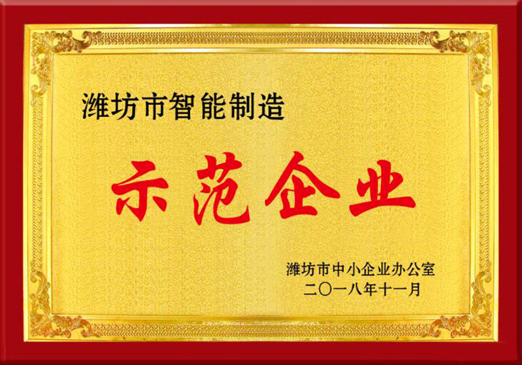 濰坊市(shi)智能制(zhi)造示範(fàn)企業